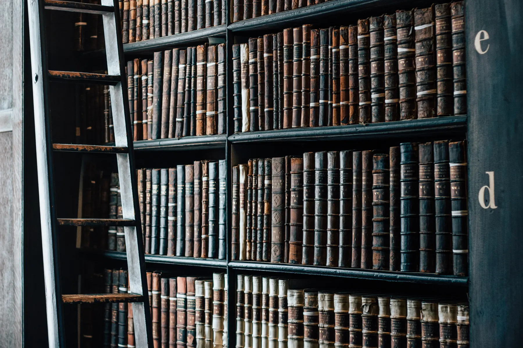 Rows of leather-bound volumes on library shelves